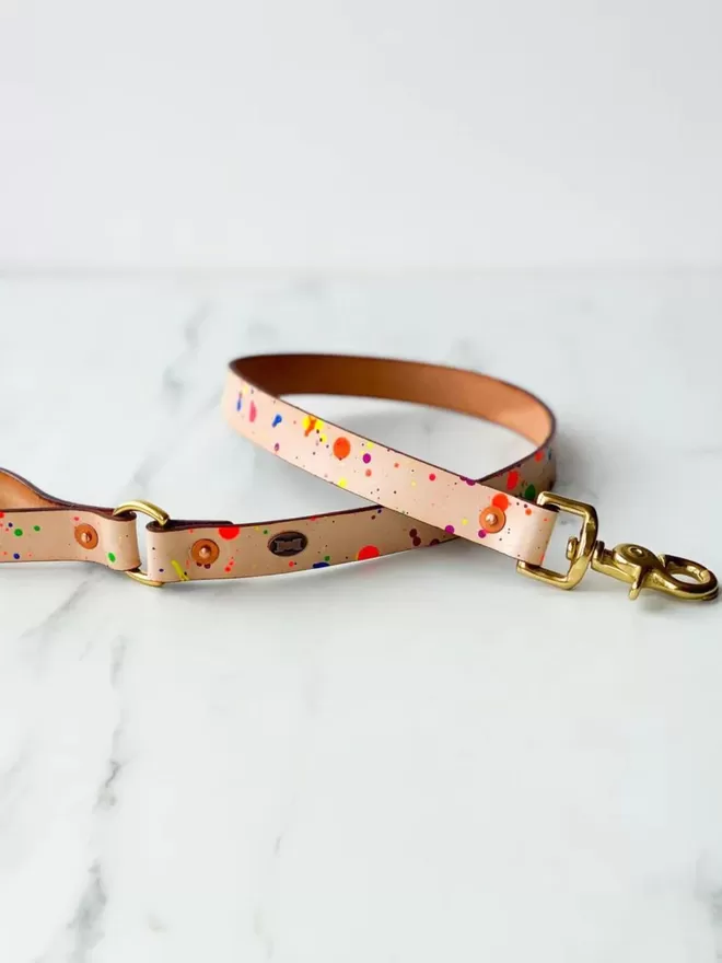 Paint Box Lead | Hand-Painted Leather Dog Lead | Neon