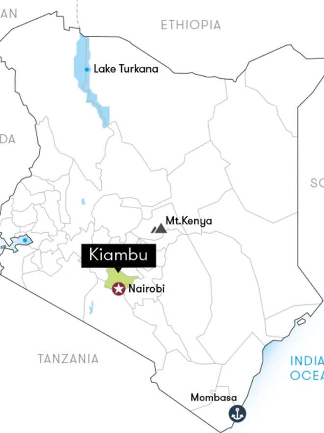 Nobody’s Listening To Me Coffee Blend