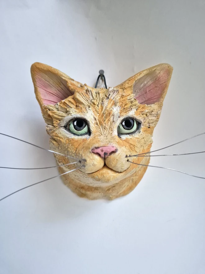 Ginger cat portrait