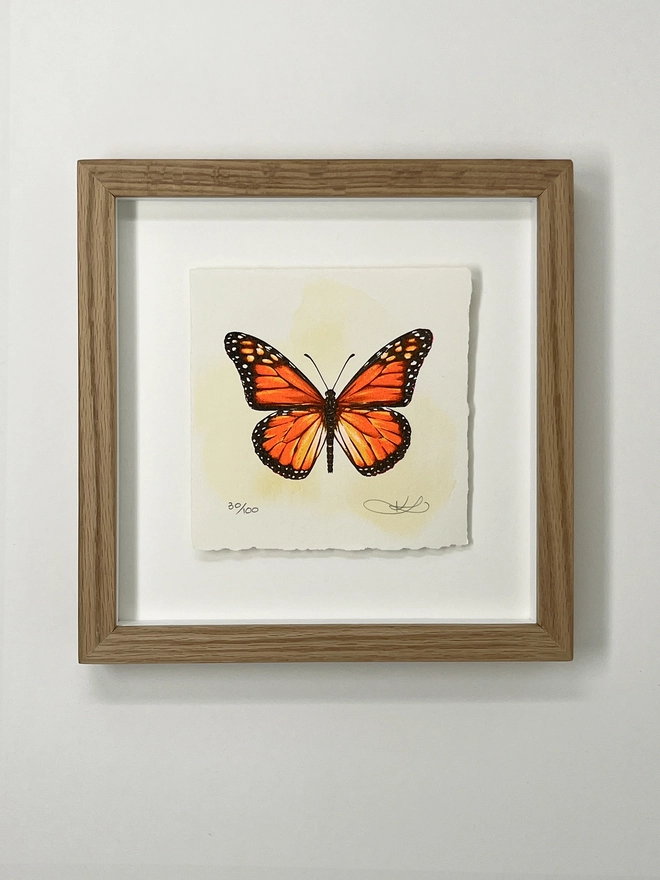 Framed Monarch butterfly screenprint artwork by London based artist and textile designer Kath Leone