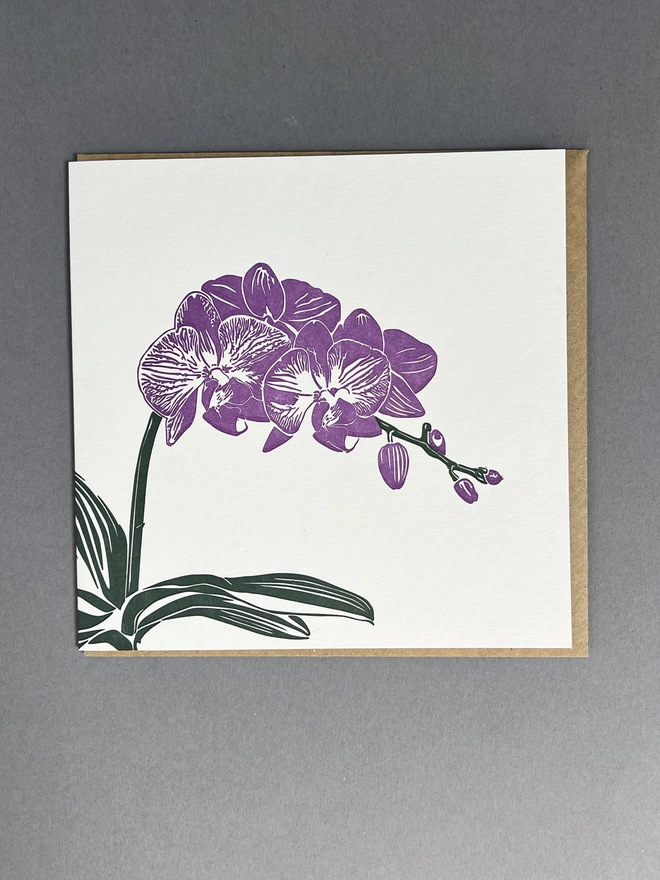 Full image of the lovely letterpress printed purple moth orchid 