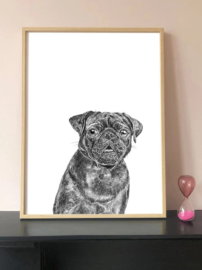 Art print of a hand drawn illustration of a black pug dog displayed in a frame