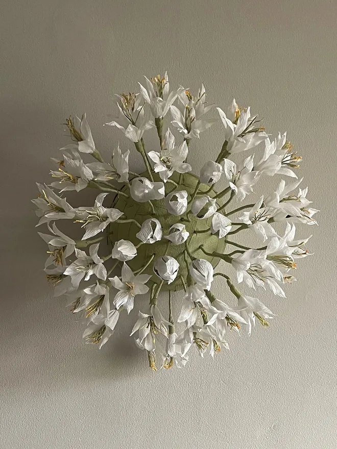 Giant White Paper Agapanthus Flower