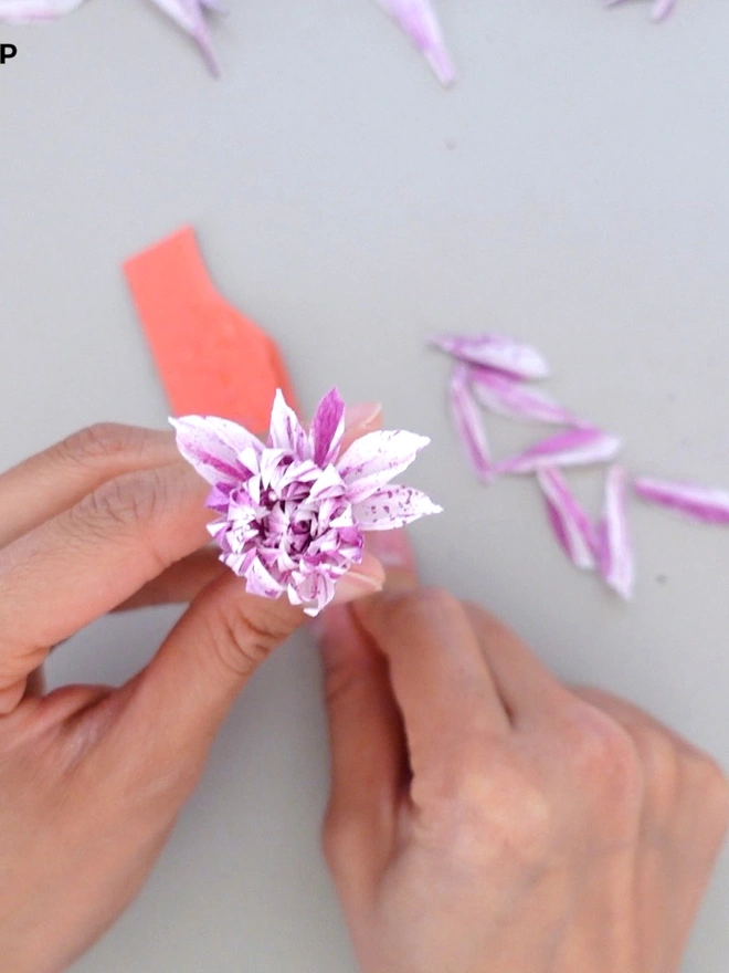 Crepe Paper Cafe Au Lait Twist Dahlia DIY Kit