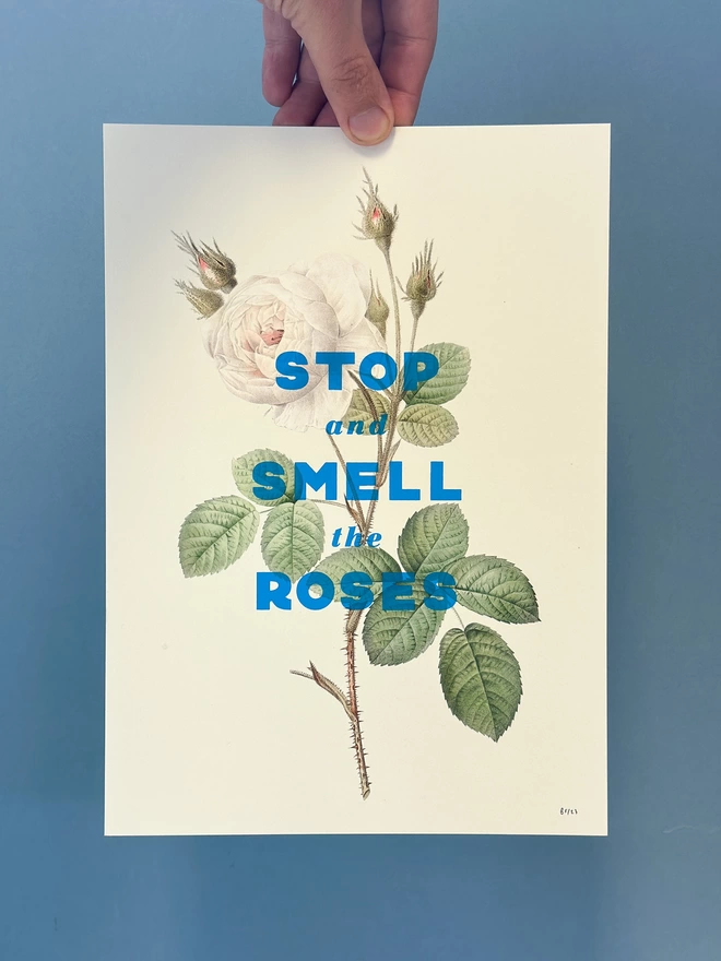 Photo of a hand holding an A4 screen print showing a botanical illustration of a pink rose. Over the top are the words Stop and smell the roses in bright blue typography.