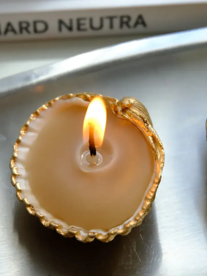 Handcrafted Sea Shell Beeswax Candle Trio 