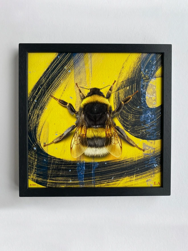 Bumblebee artwork by Evi Antonio in a black box frame, hanging on a wall.