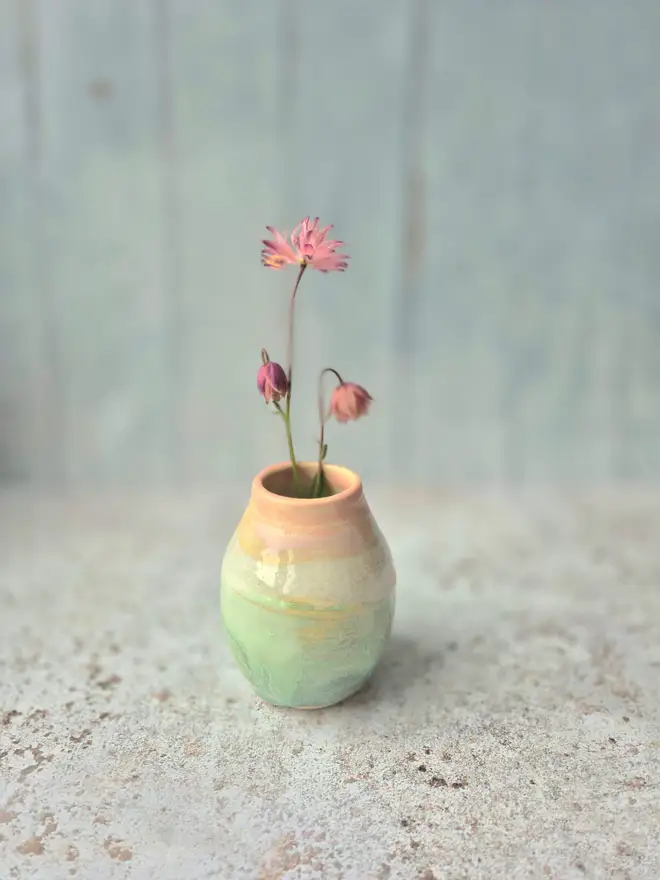 Ceramic vase, flower vase, pottery vase, Jenny Hopps Pottery, Gift