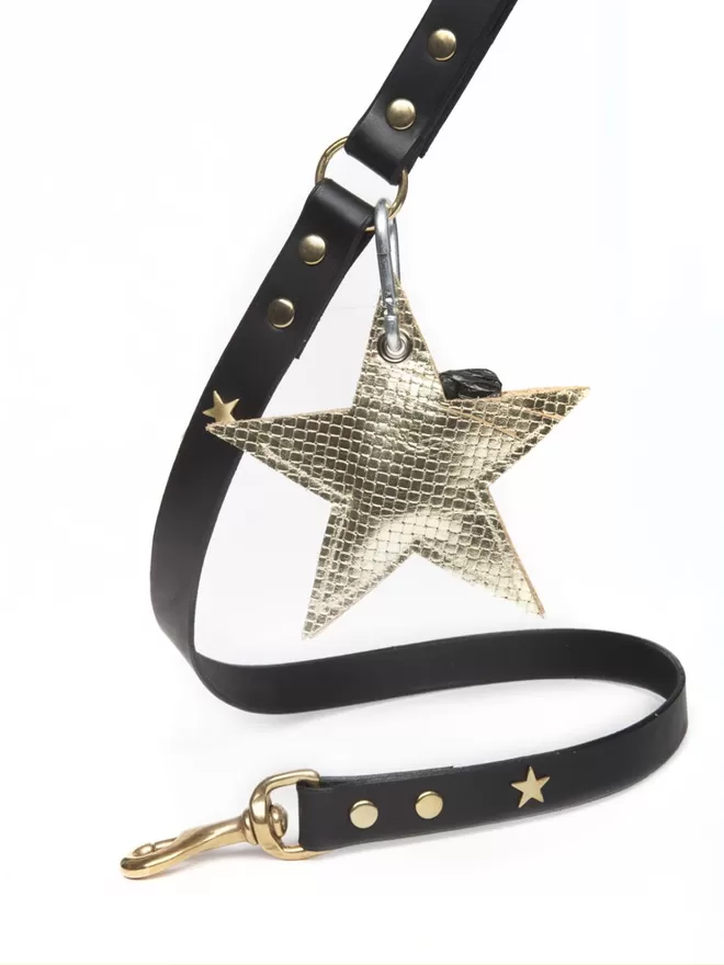 Black Leather Lead with Brass Stars