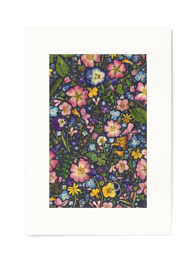A3 Floral Print of Pressed Flowers arranged on a dark blue background.