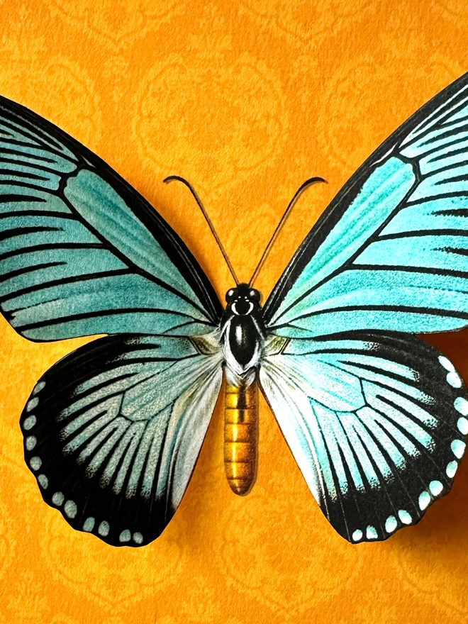 A close up photo showing details of the printed and hand cut paper, giant blue swallowtail butterfly. The butterfly is light blue with black patterns and is placed in contrast with an orange background,.
