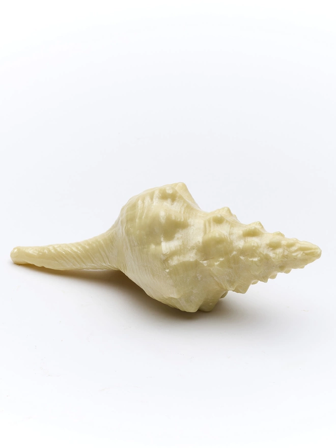 Large conch sea shell made in white chocolate 