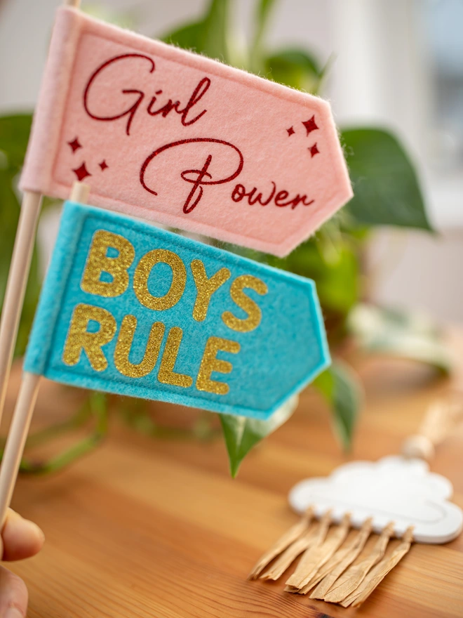 2 handheld felt flags, 1 that has the words "boys rule" written on it and the other "girl power"