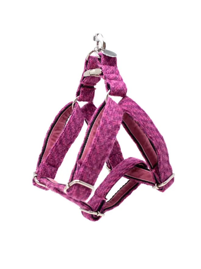 cerise dog harness on white background, wool fabric and walk in style dog harness