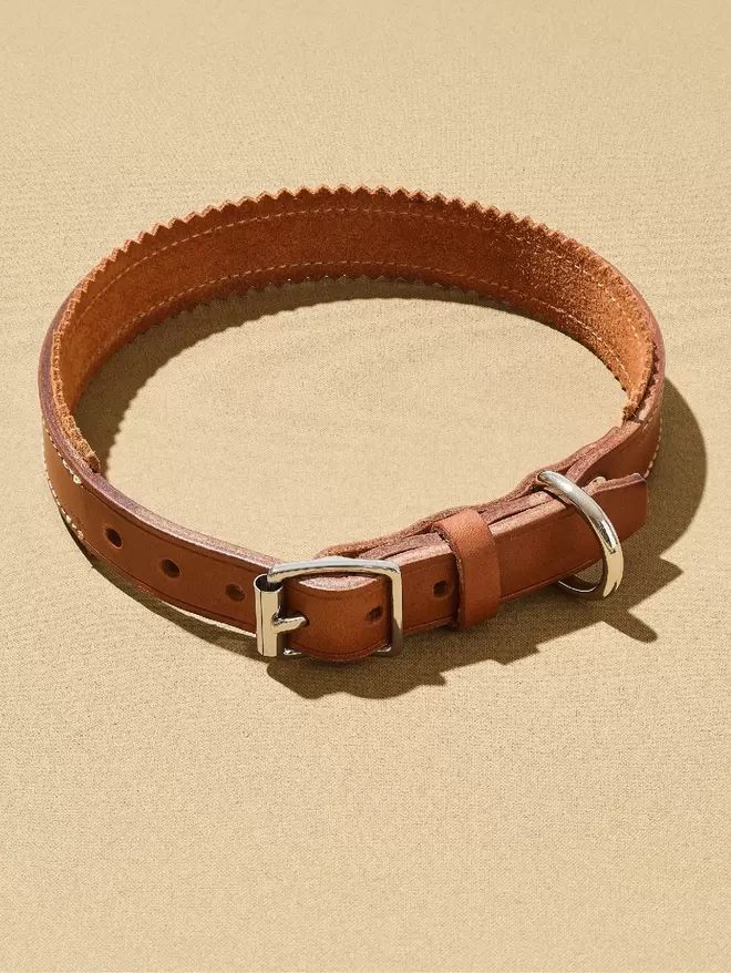 Brown leather Harleywood dog collar with brown suede trim and Nickle Free 'Silver' hardware.