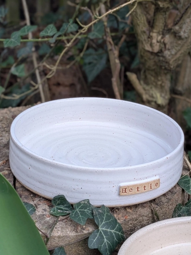 Stoneware Pet Bowl. A pet bowl in rustic white.
