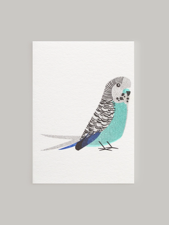 A cute little blue budgie is illustrated and risograph printed on to this mini greeting card. It's charming character is clear to see, the ideal gift for bird and pet lovers.