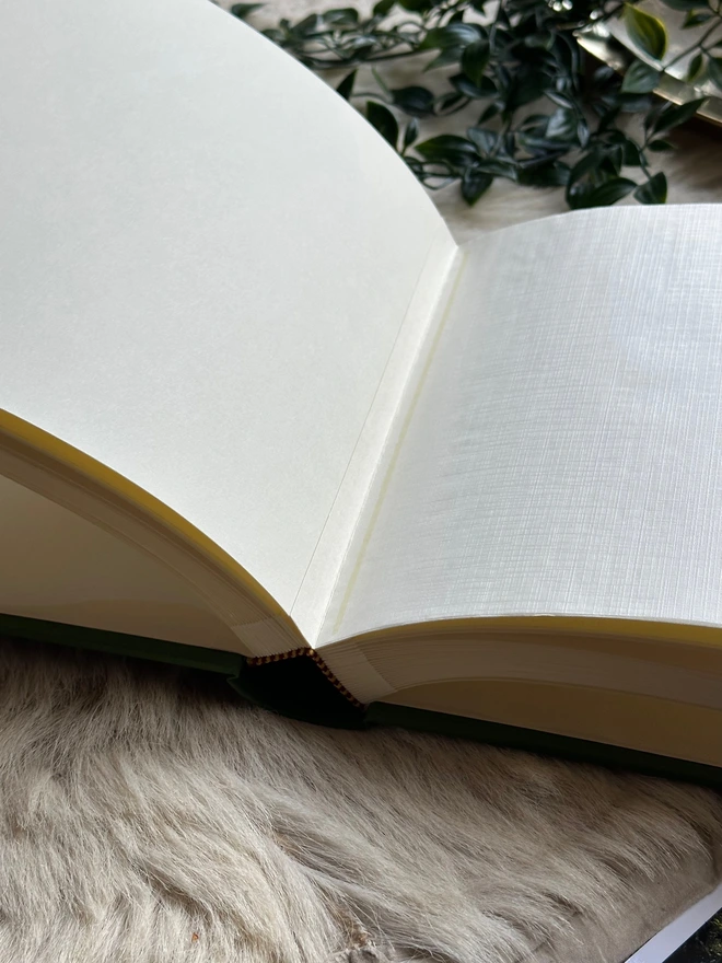 An open photo album showing the plain pages and glassine interleaves is resting on a fur rug.