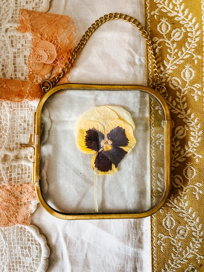 Yellow and Purple Pressed Pansy Framed Keepsake