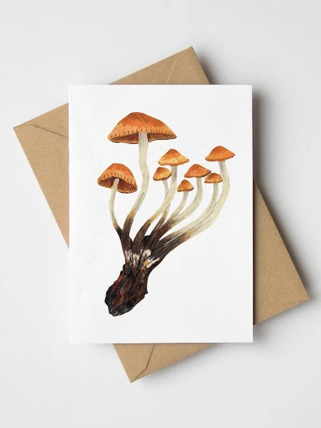 Mini Chestnut Mushrooms Greeting Card