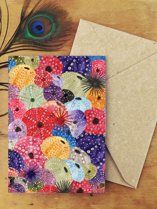 illustrated sea urchin pattern greetings card