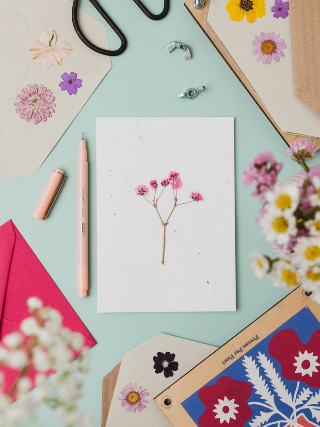 Pressed Flower Notecard, Pink Gypsophila