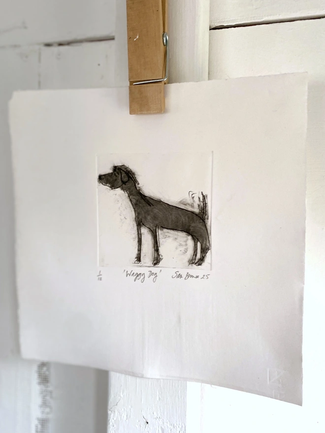 Waggy Dog'. Handmade Drypoint Drawing by Samantha Barnes