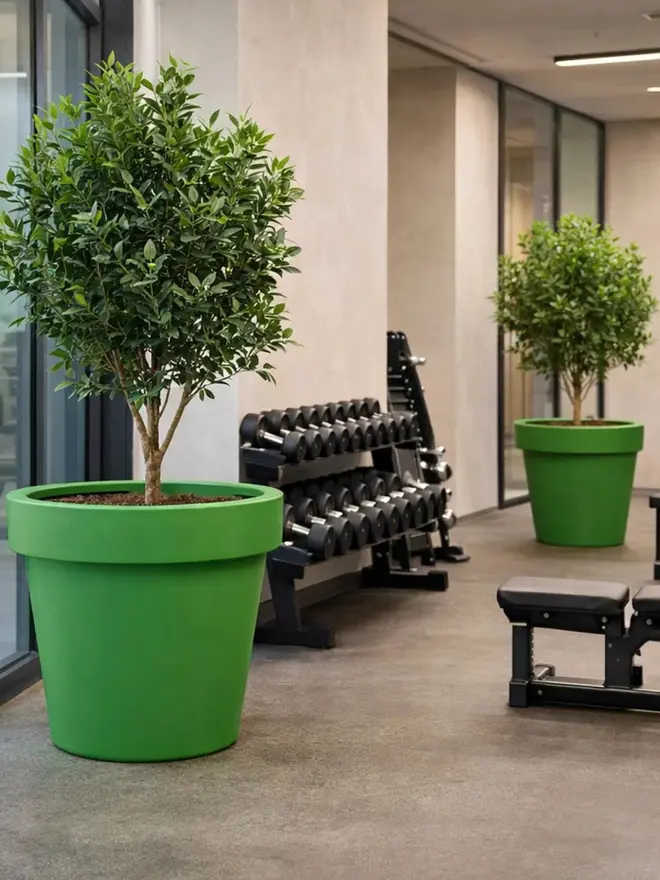 The boat green Biggie introduces a fresh marine-inspired tone to its bold oversized shape and generous planting capacity. Ideal for coastal properties, tropical gardens and vibrant outdoor environments, it creates a lively yet natural focal point. Lightweight yet robust, it’s frost-resistant and easy to move despite its size.