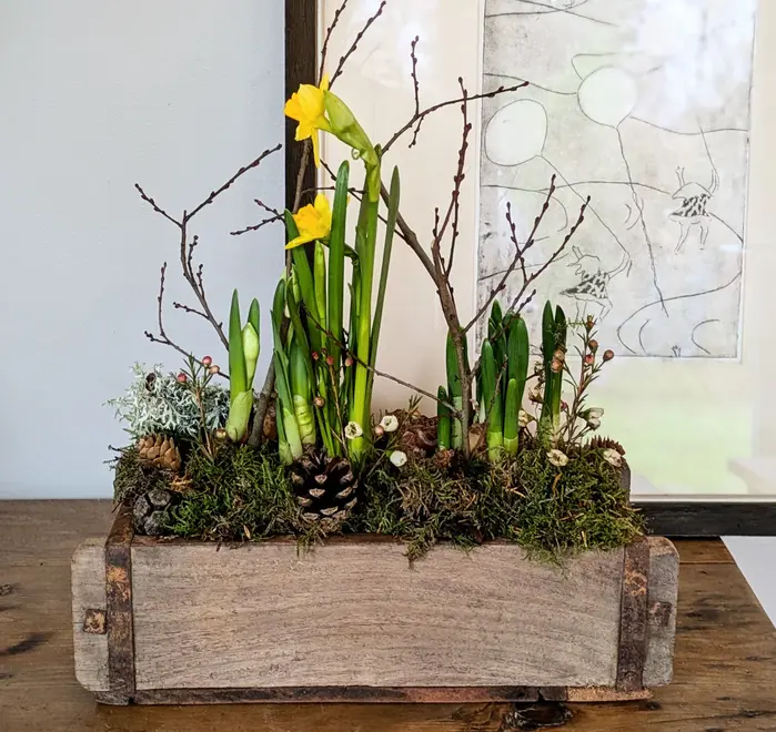 Spring Bulbs In A Wooden Brink Planter With Quail Eggs and White Wax Flowers