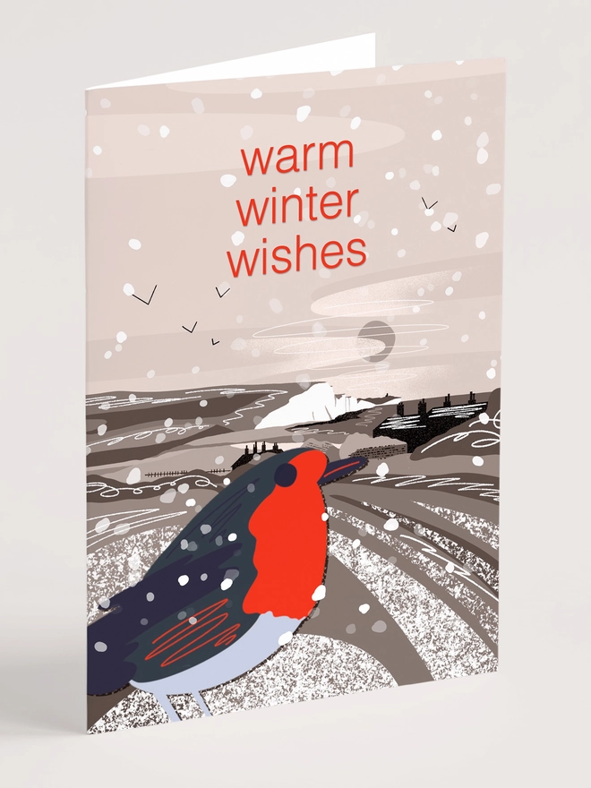 Warm winter wishes winter birds christmas cards