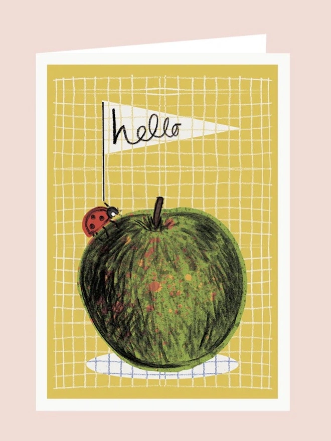 'Hello' Ladybird Card