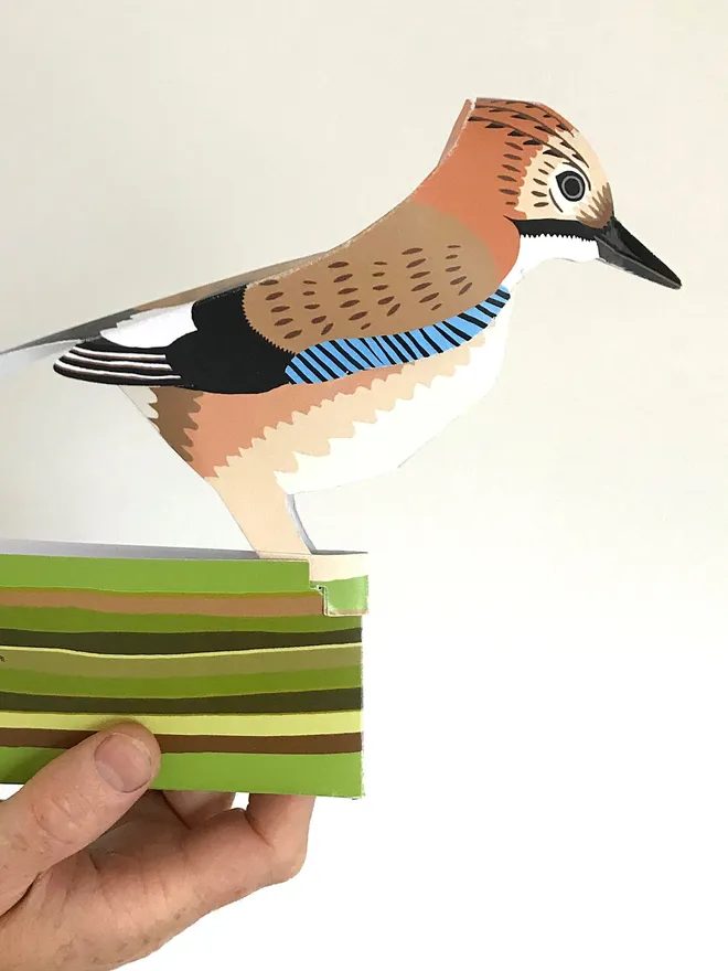 3d jay pop out card