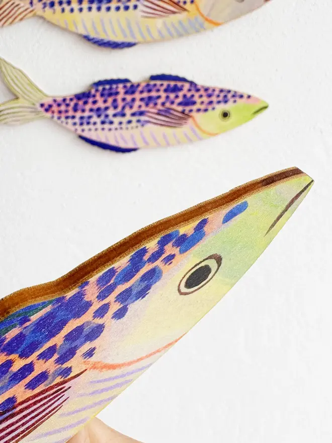 blue wooden mackerel wall decorations. wooden mackerel decoration held to show thickness.
