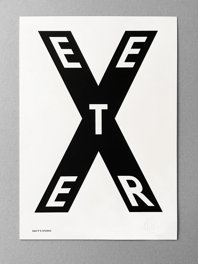 A3 Print of Exeter, arranged as the letters EETER within the big letter X, leant against a white background.