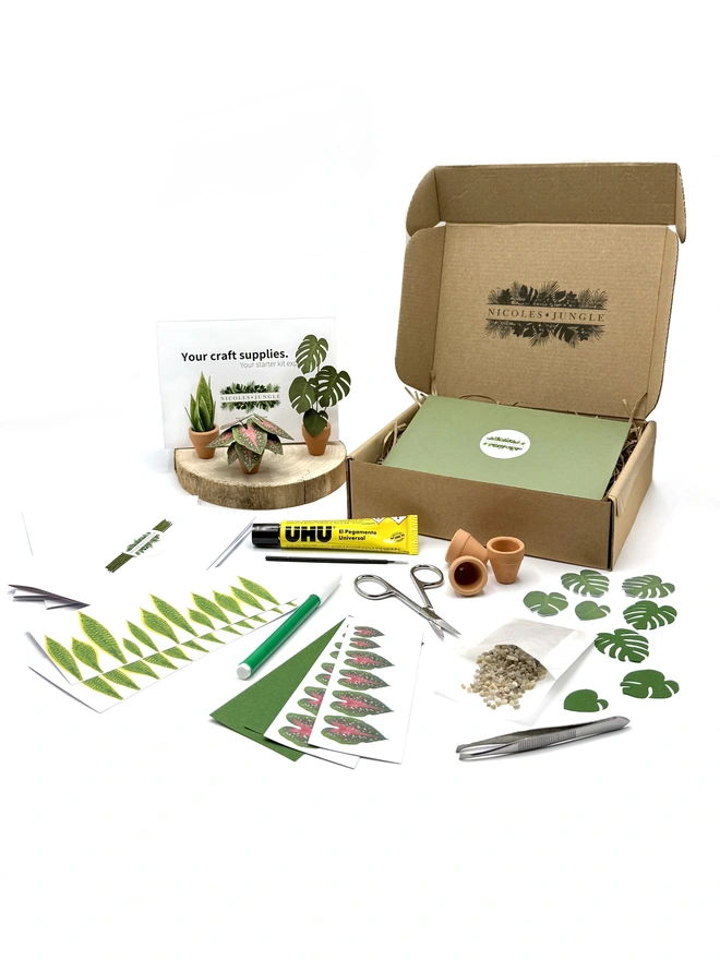 Flatlay of paper plant kit contents and finished plants