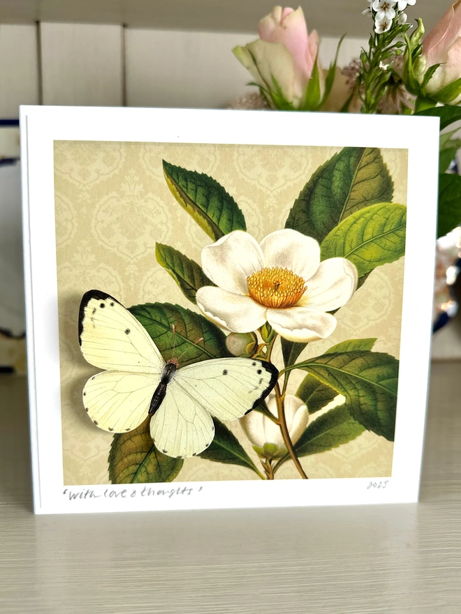 Photo of the butterflygram card featuring a white magnolia flower on a cream background with a 3D white butterfly in the left foreground. 
