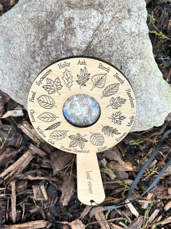  Birch wood leaf identification magnifier engraved with detailed leaf illustrations, displayed on forest floor materials.