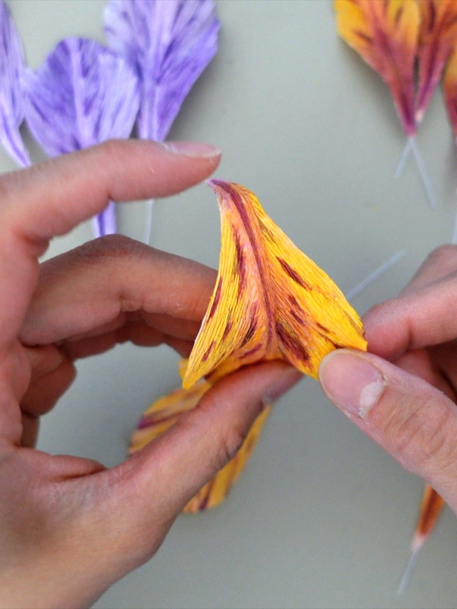 Crepe Paper Bearded Iris DIY Kit