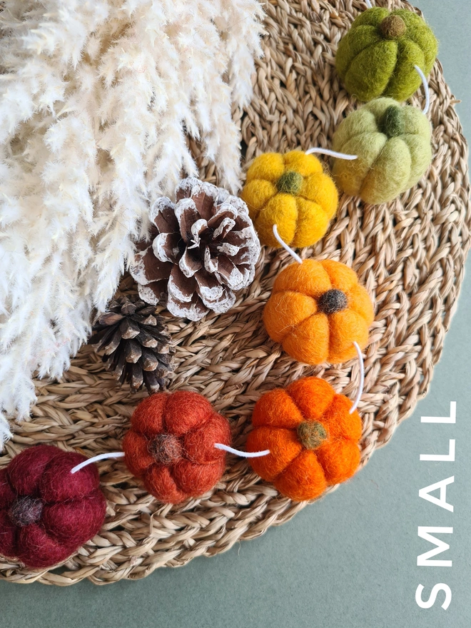 Rainbow Pumpkin Garland Autumn Home Decor
