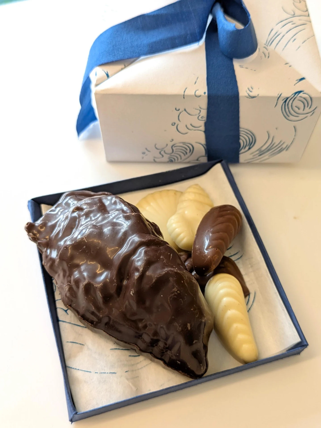 chocolate oyster and seashells. a white box with a blue ribbon photographed next to a chocolate oyster shell and seashells in a mix of milk, dark and white chocolate.