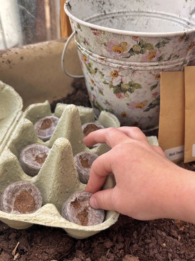 Open green egg-box with compost discs in, a child’s hand picking one up in soil with a floral scent plant pot behind 