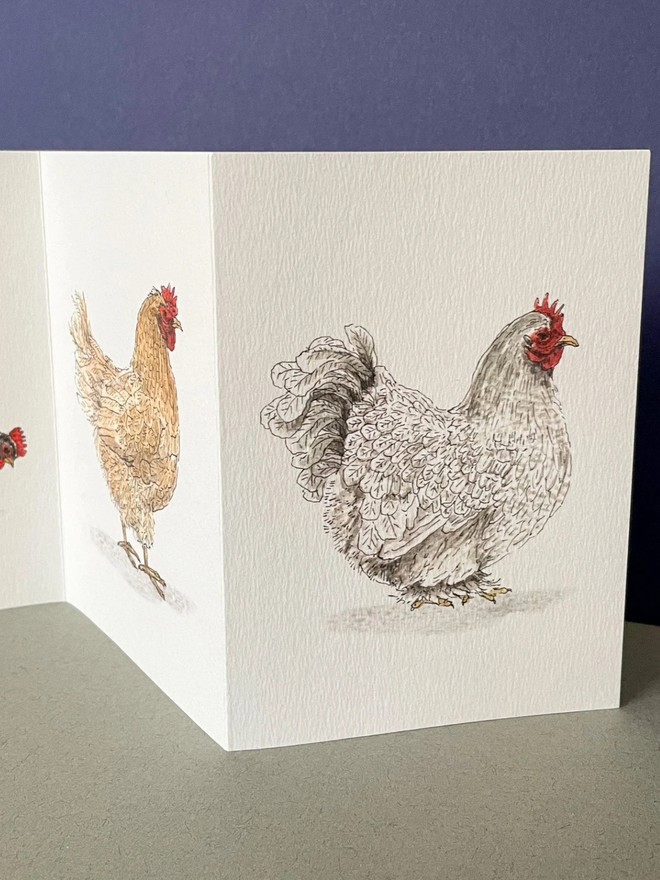 Watercolour Illustration Chicken Concertina Card