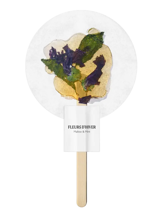 Fleurs-d-hiver-Mallow-Mint