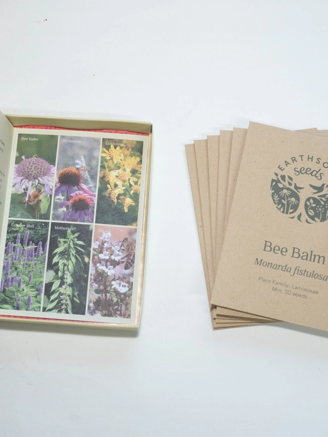 Bee Herbal Garden Seed Pack