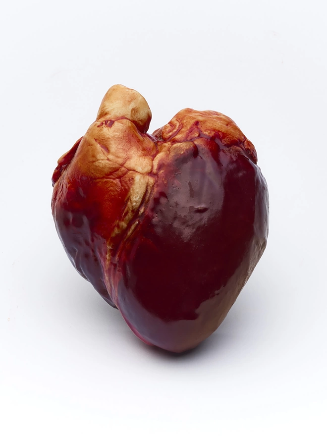 Realistic dark chocolate human heart on white background