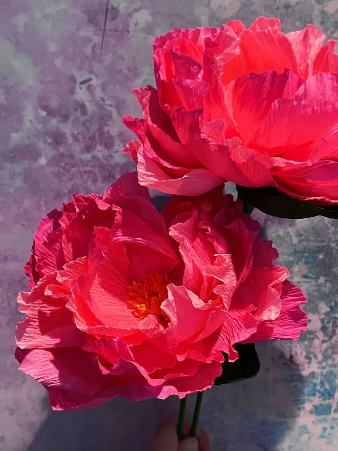 Paper Peony Posy Bouquet (Set Of 2)
