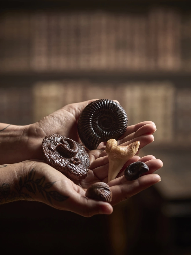 Realistic edible bite sized chocolate fossil samples held in woman's hands