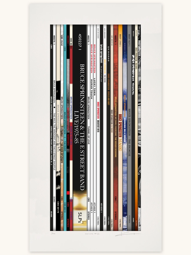 Fine Art print of vinyl records Bruce Springsteen album spines