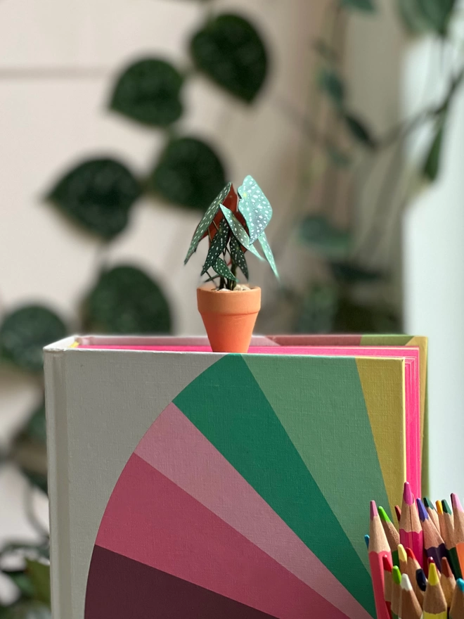 A miniature replica Begonia Maculata polka dot paper plant ornament in a terracotta pot sat on top of a colourful book with a climbing plant in the background and some colouring pencils at the bottom right
