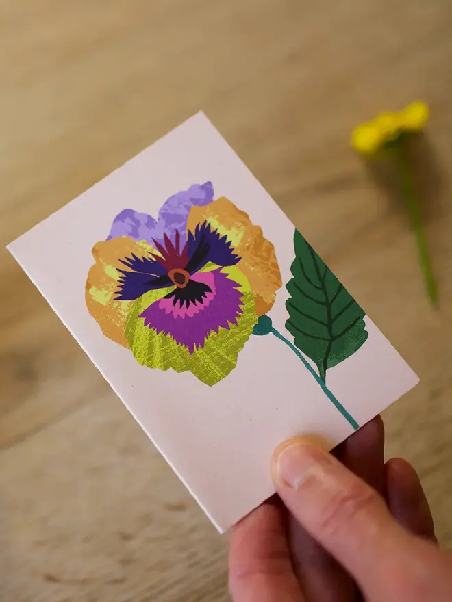 illustrated pansy mini card